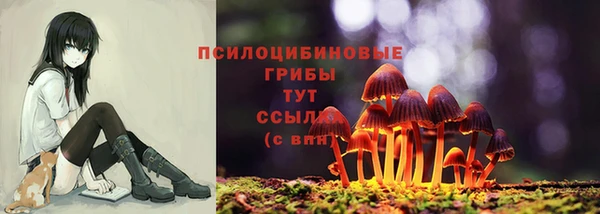 МДПВ Киреевск