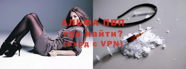 гашик Киренск