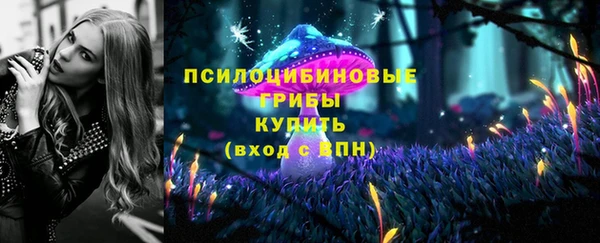 mdpv Кинешма