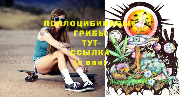 гашик Киренск