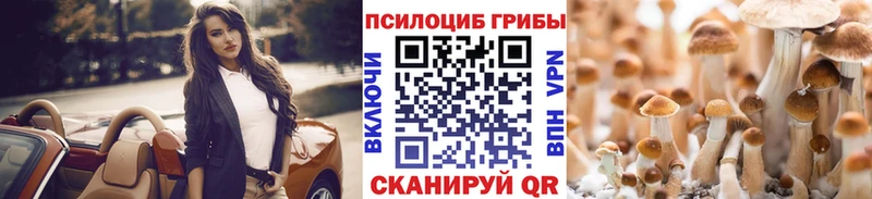 Псилоцибиновые грибы Psilocybine cubensis  Купить закладки  Кондрово 